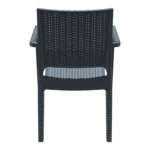 Ibiza Armchair Dark Grey Back