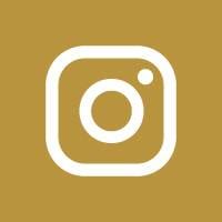Zap Instagram Icon