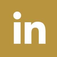 Zap Linkedin Icon
