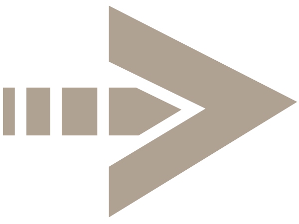 Vanna Swift Logo